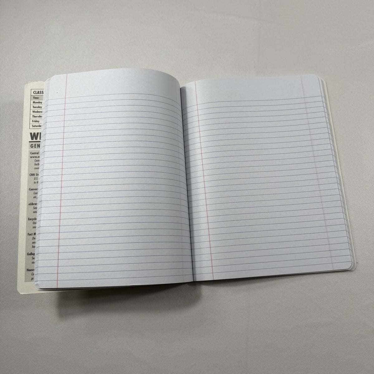 Vintage Incy Wincy Spider Lined Notebook Journal