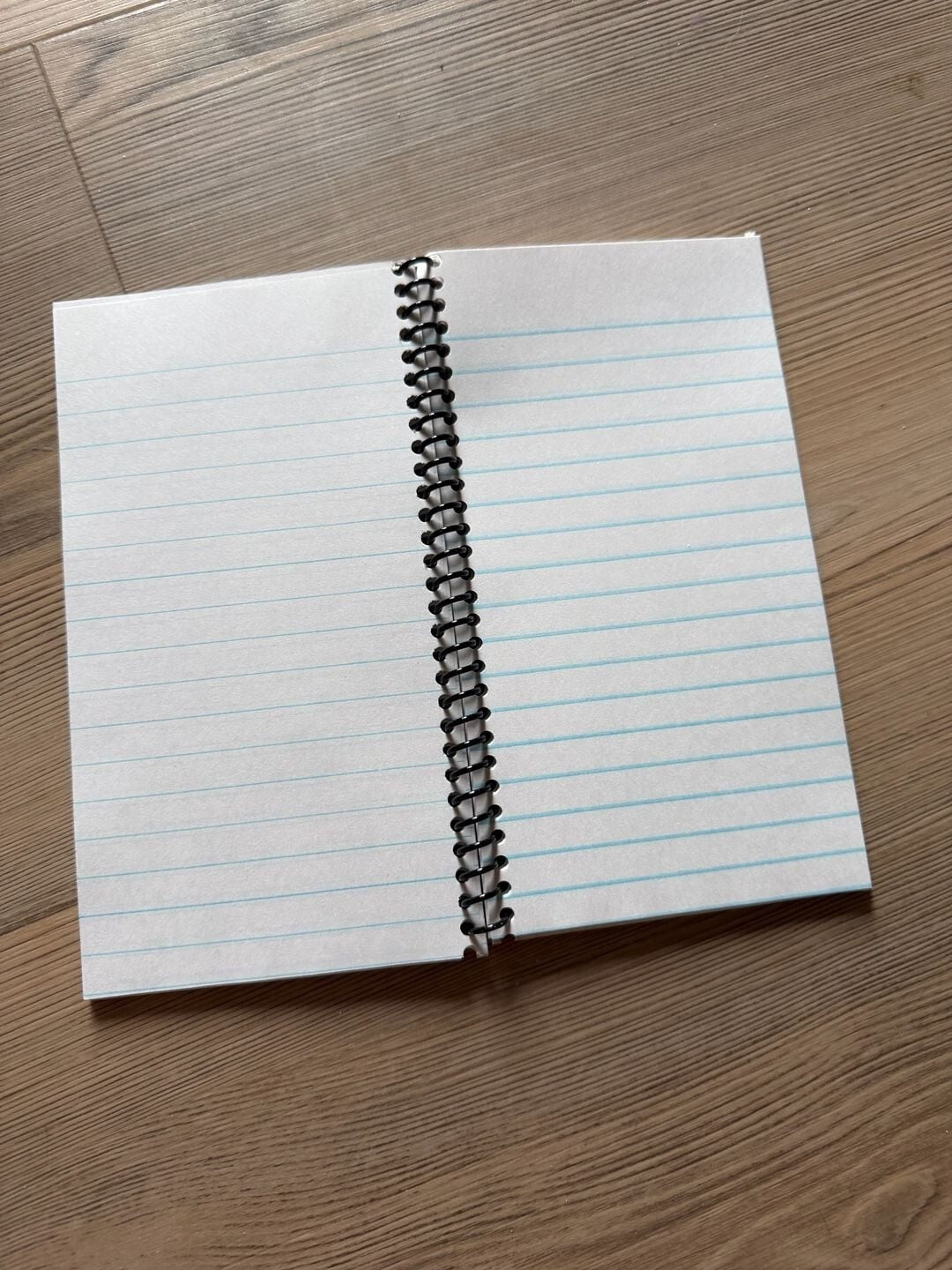 When Harry Met Sally... Spiral Bound Notebook