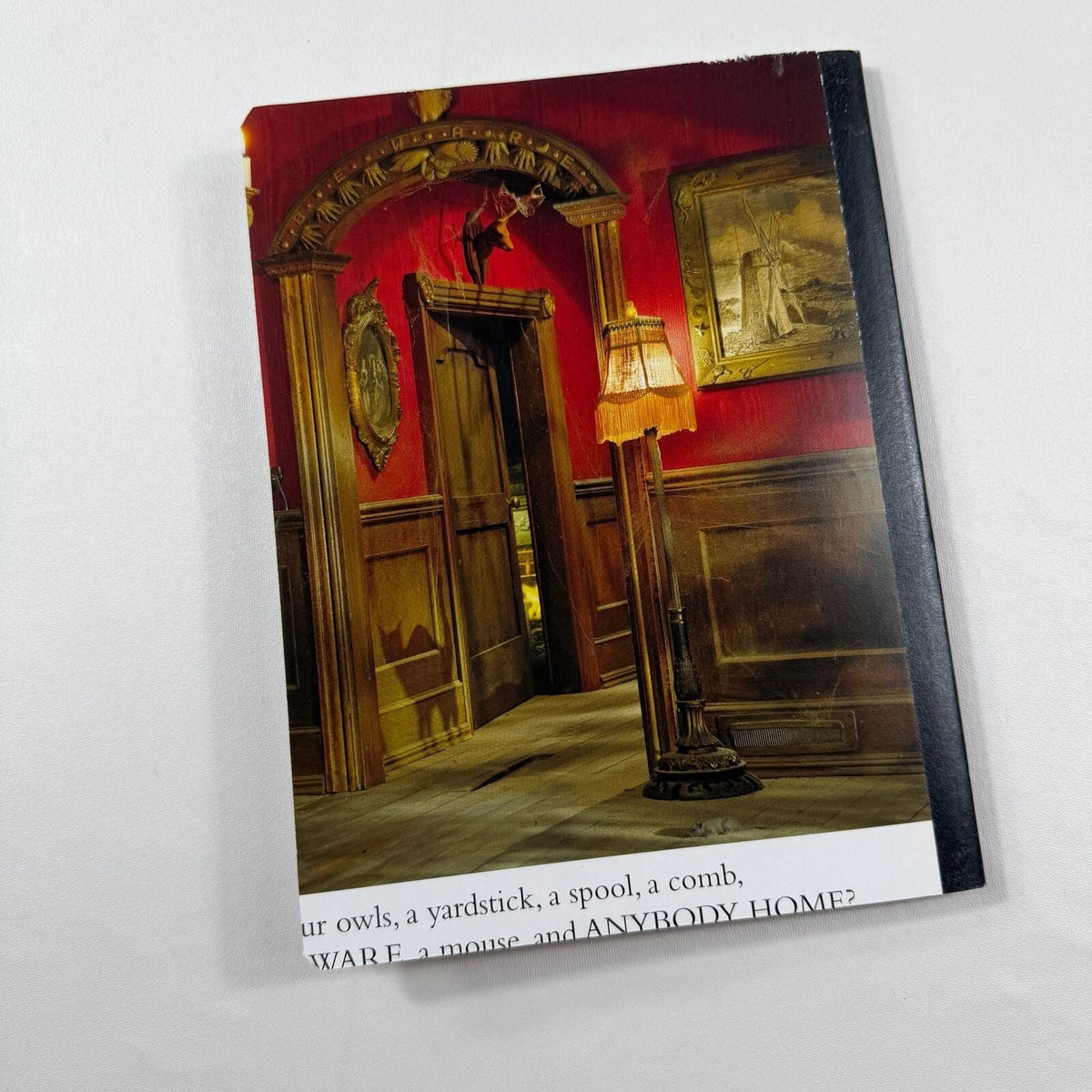 I Spy - Spooky Night Lined Notebook Journal