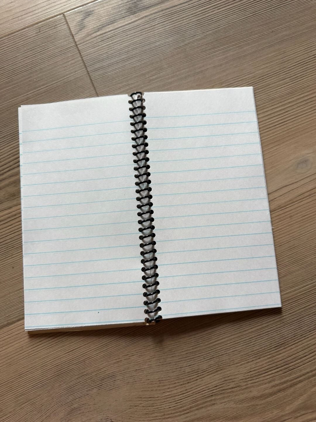 Bridgestone Group The Pied Piper of Hamelin Collector's Edition Spiral Notebook