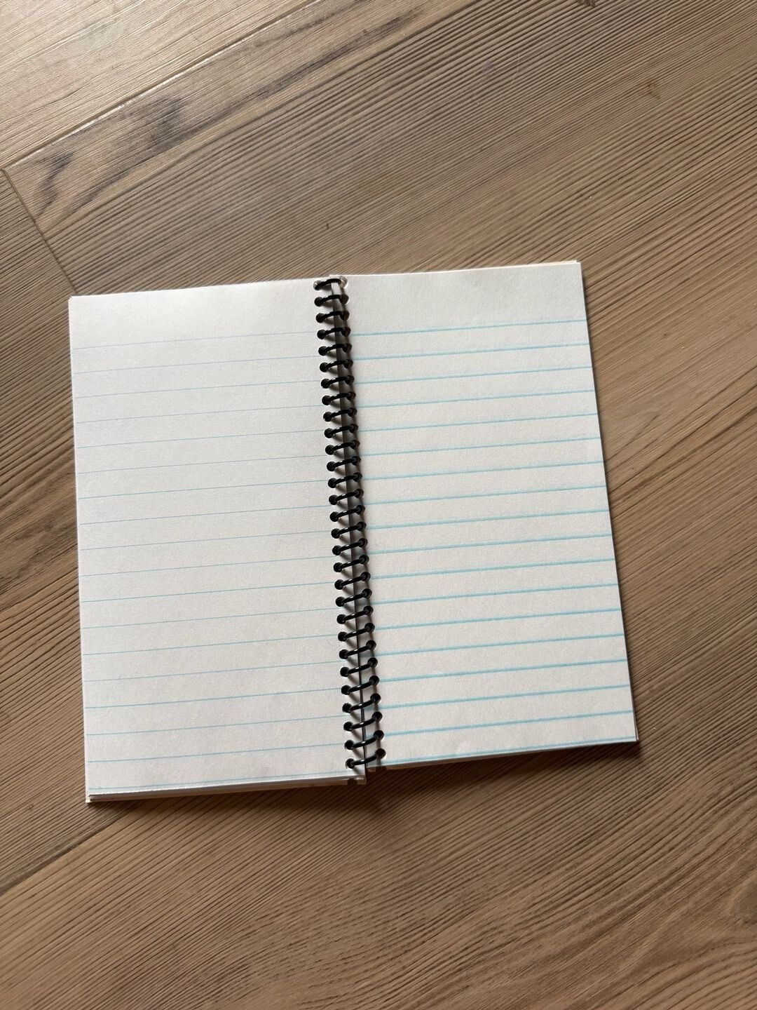 Francis Joins the WACS Vintage Movie Memorabilia Spiral Notebook