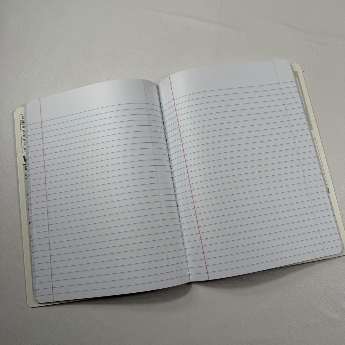 How do dinosaurs… Lined Notebook Journal