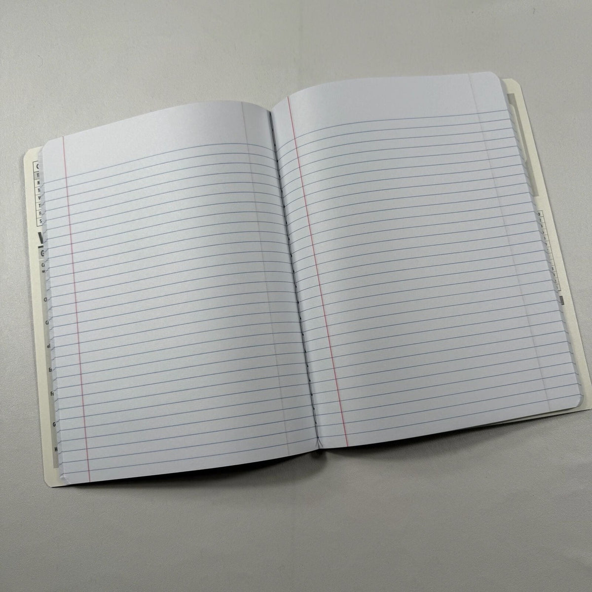 Room on the Broom Lined Notebook Journal