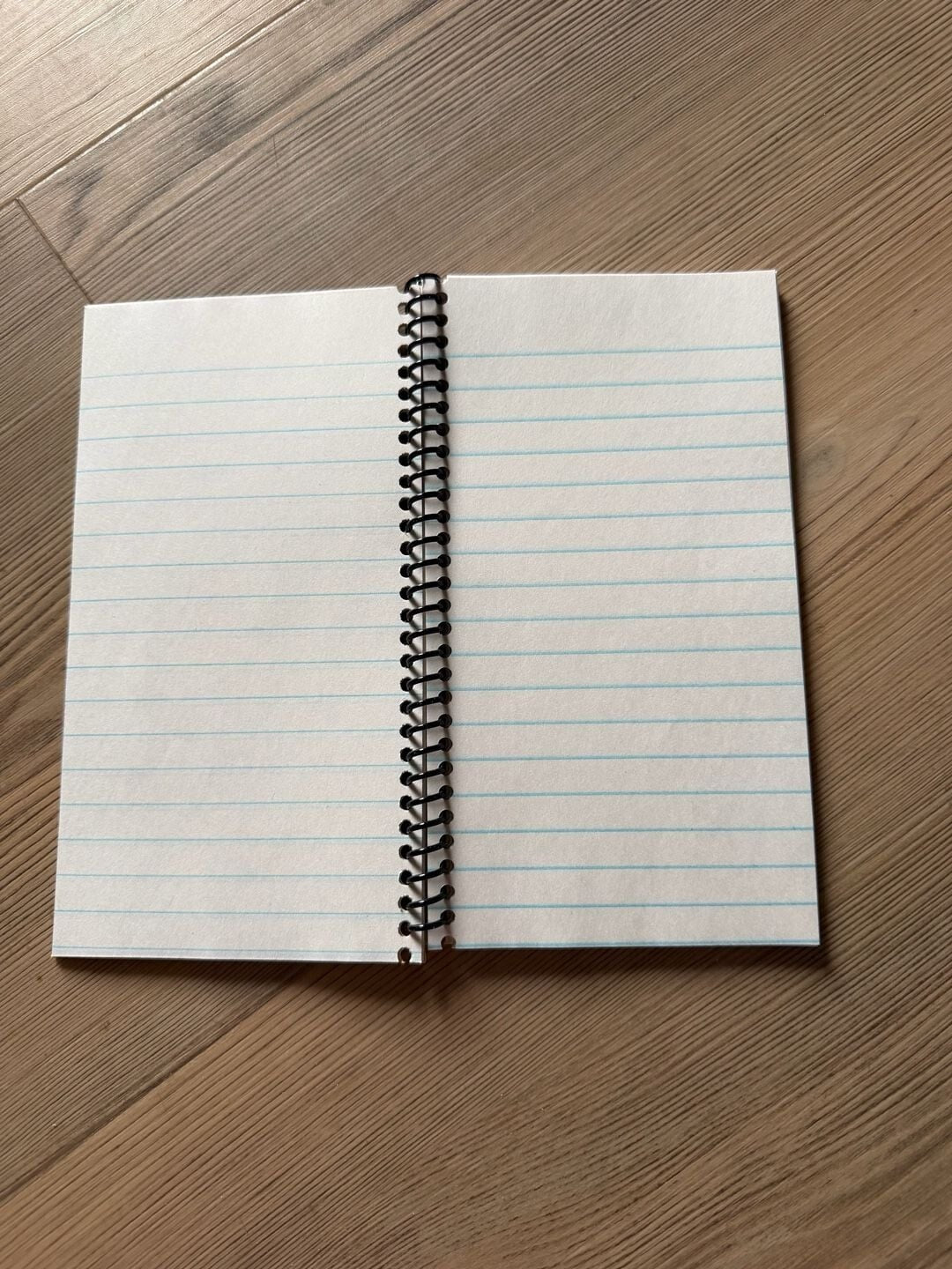 The Little Rascals Remastered & Unedited Volume 2 Spiral Bound Notebook