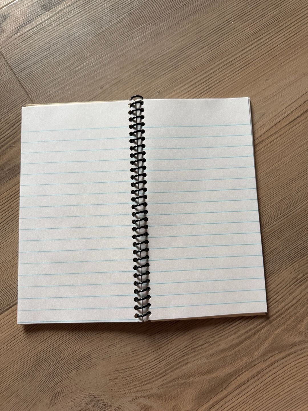 Richard Simmons Sweatin' To The Oldies 4 Aerobic Exercise Notebook